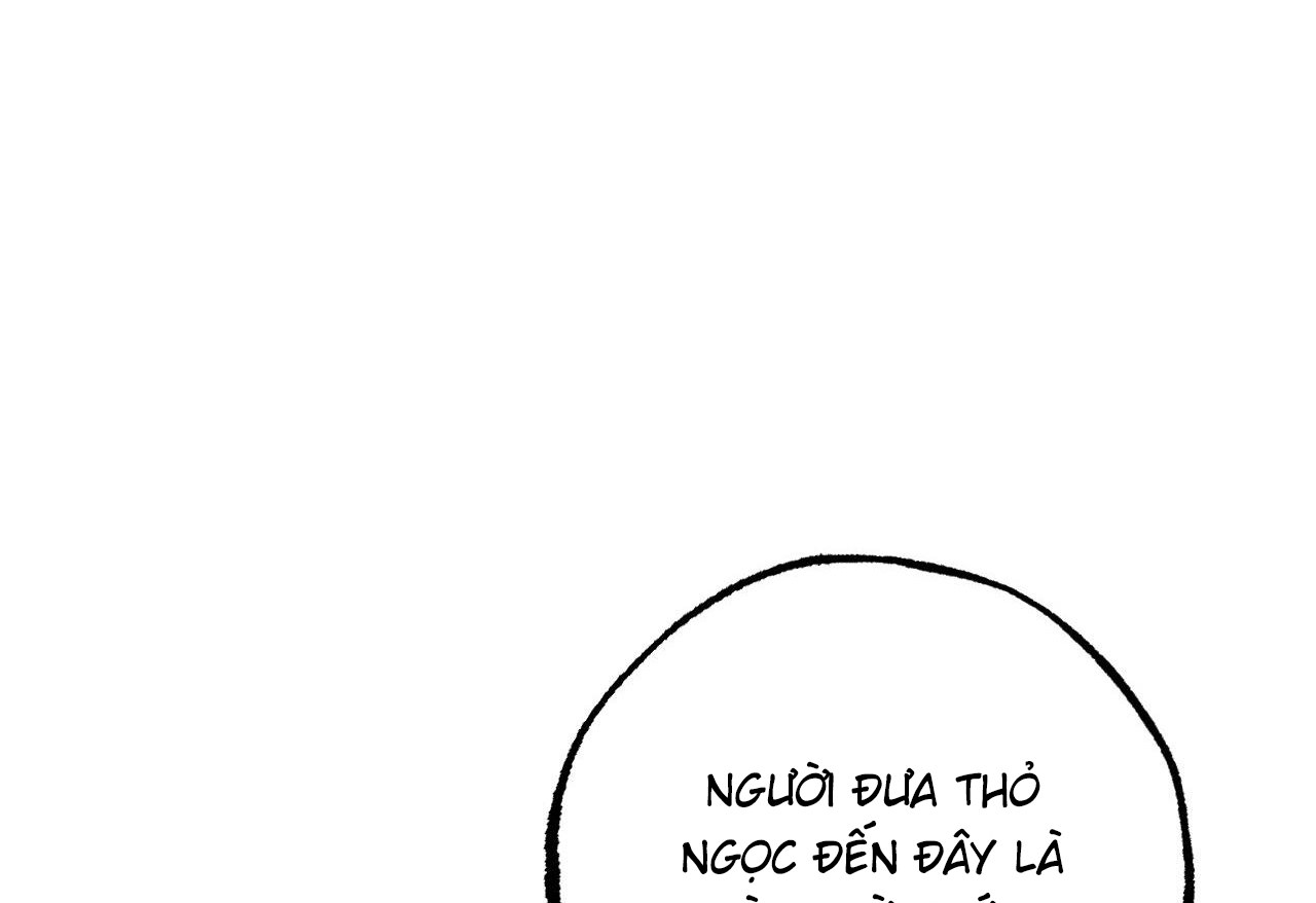 đàn thỏ của habibi chapter 62 156