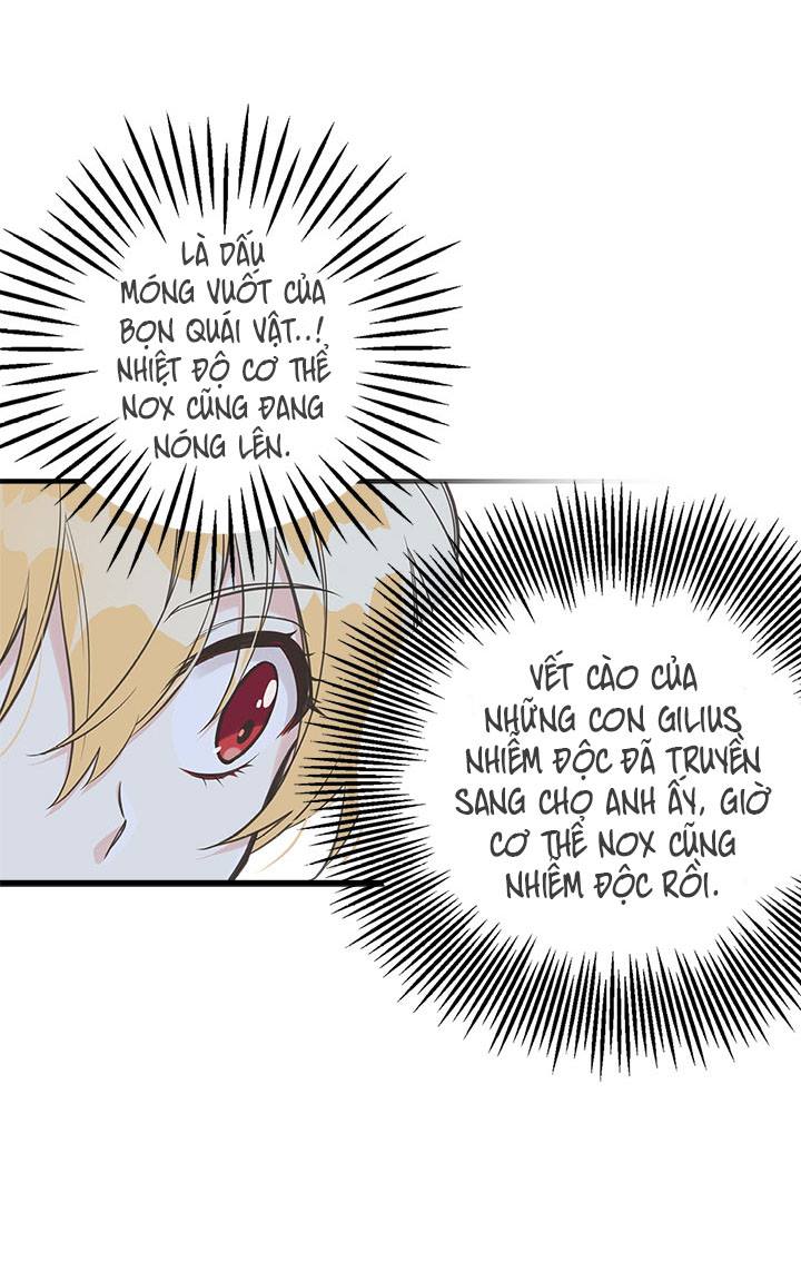 chị tôi đã nhặt về một nam chính quyến rũ chapter 12 66