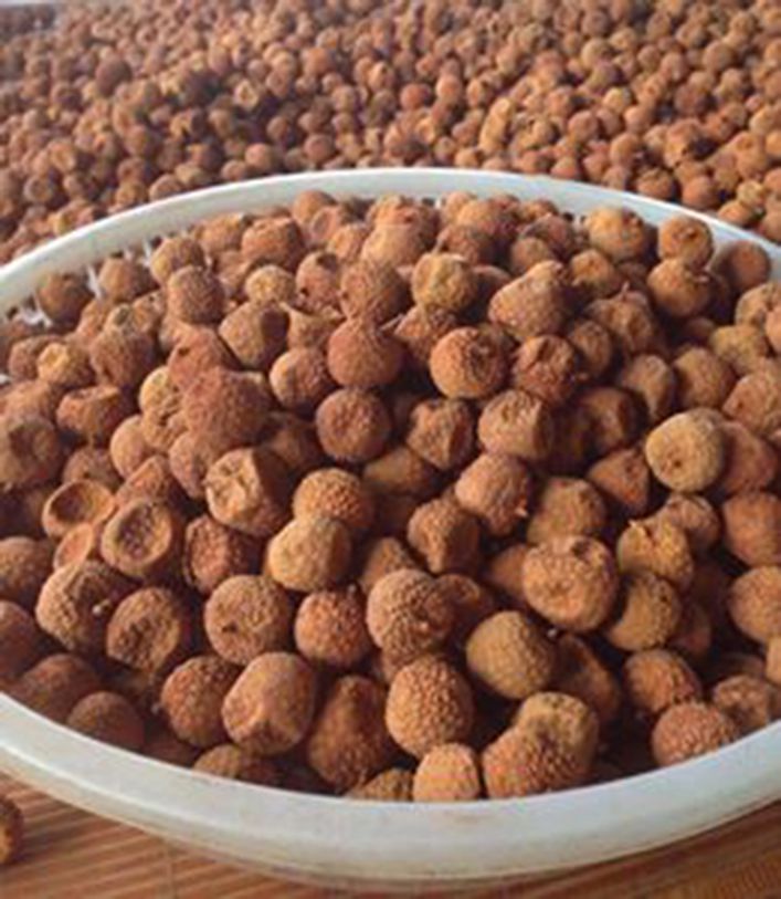 1kg VẢI THIỀU SẤY KHÔ ĐẶC SẢN BẮC GIANG