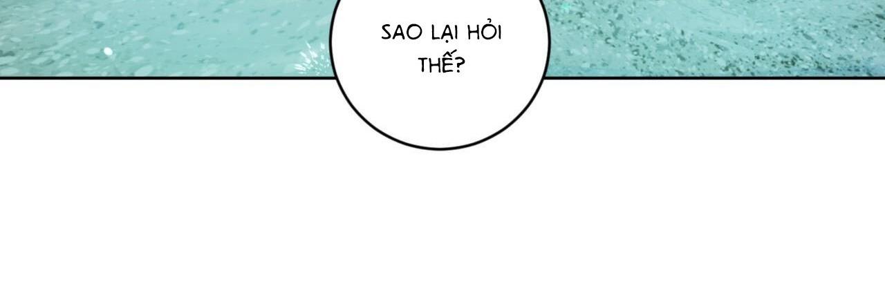 khu rừng tĩnh lặng chapter 4 4