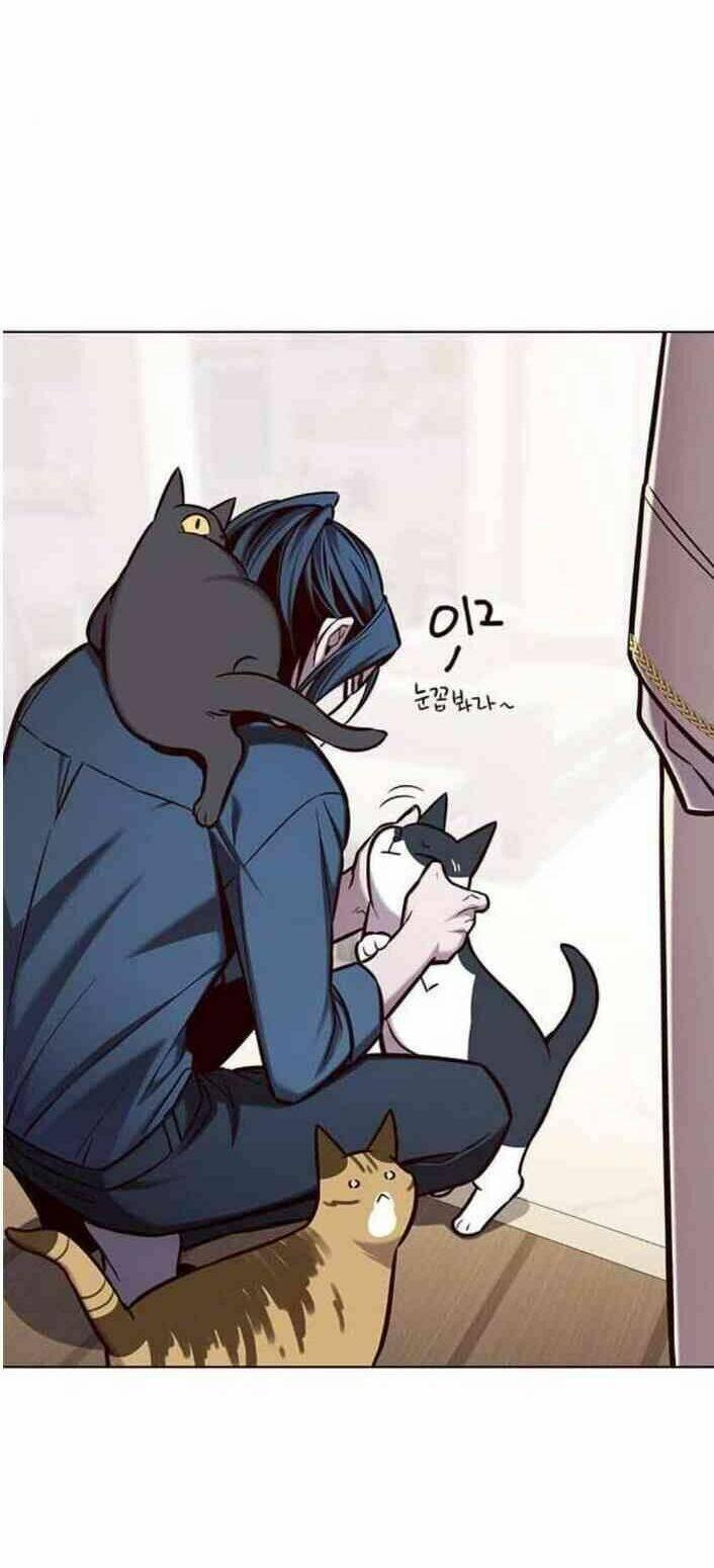 biến thân thành mèo chapter 138 63