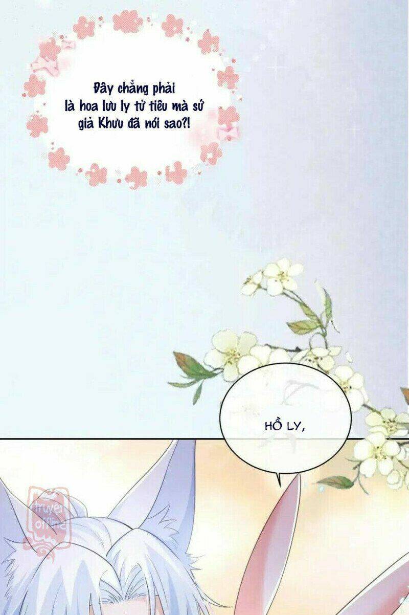 hắc hóa nam chính trực tuyến nuôi thỏ chapter 52 6