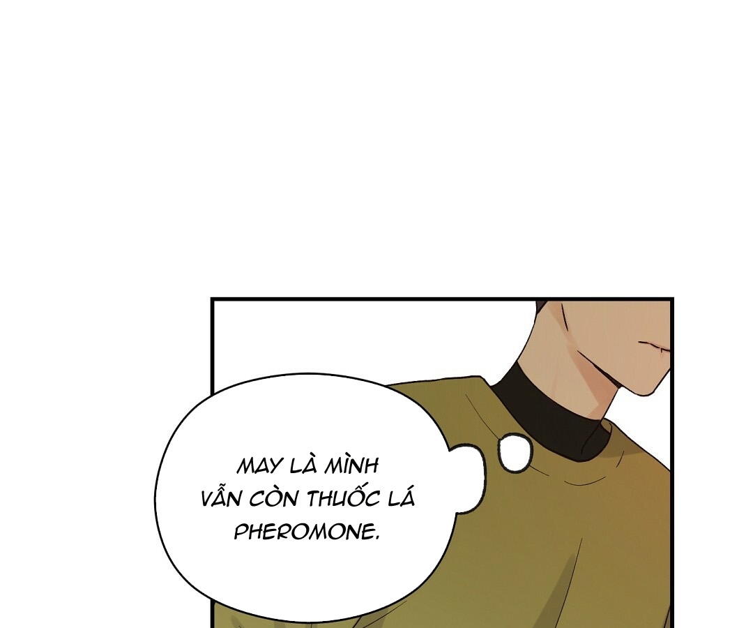 phức cảm tự ti của omega chapter 10 8