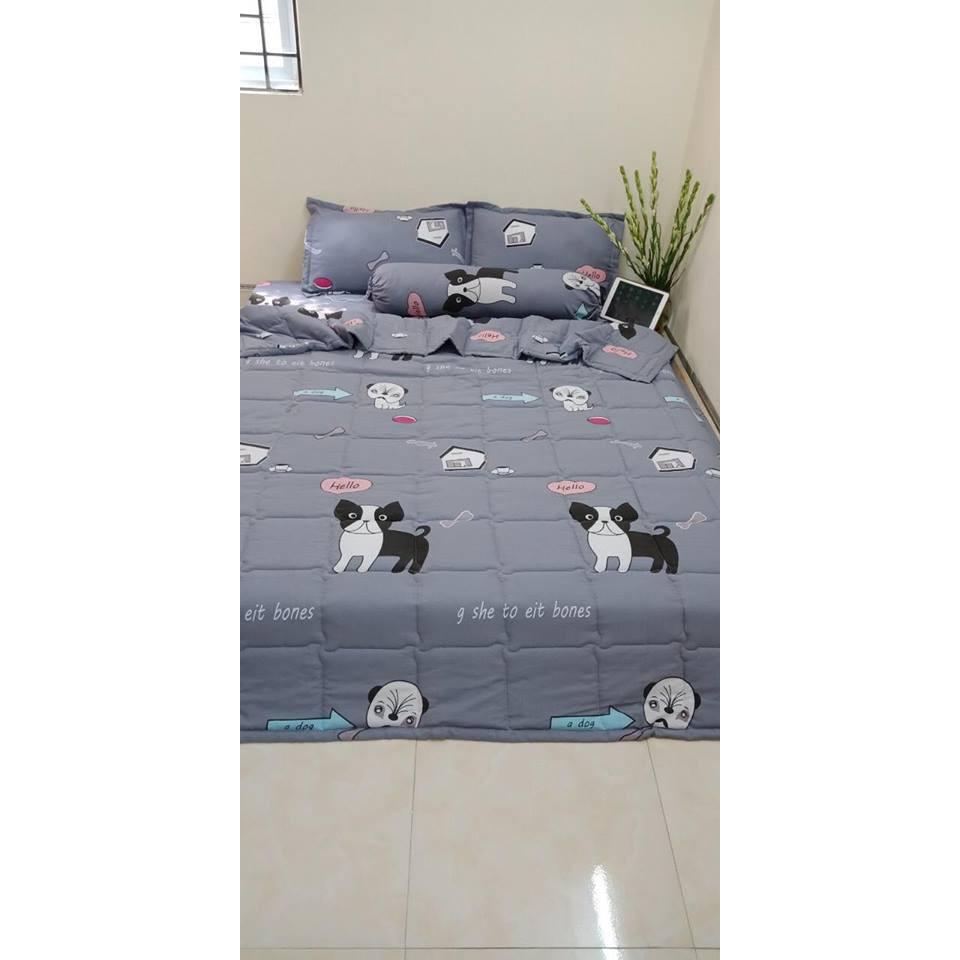 BỘ CHĂN GA ĐŨI HÀN QUỐC