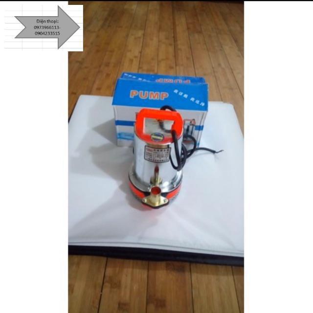 Máy bơm nước chìm 12v