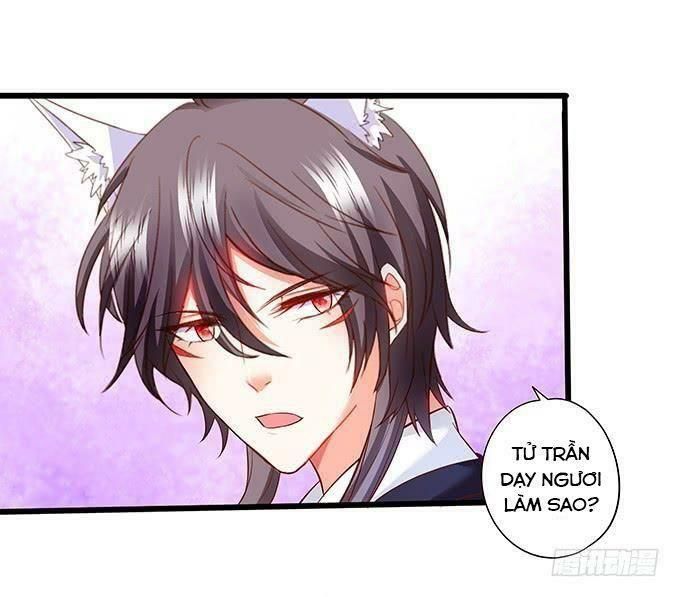 hồ tiên hung bạo chapter 86 56