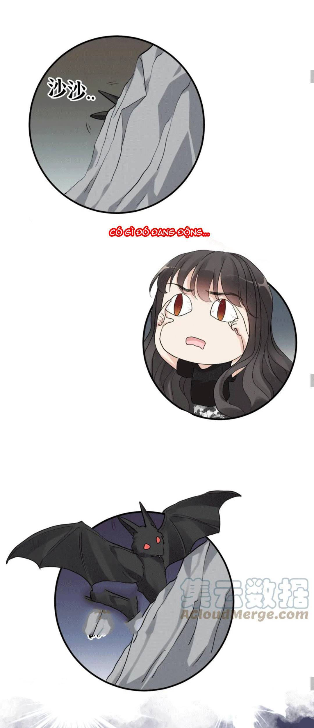 cô vợ hợp đồng bỏ trốn của tổng giám đốc chapter 472 19