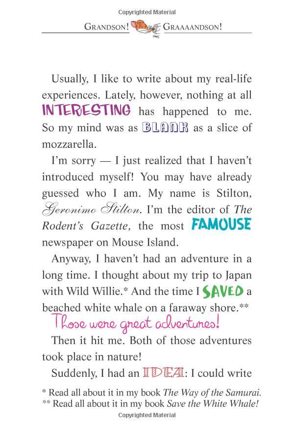 Sách Geronimo Stilton 56: Flight Of The Red Bandit