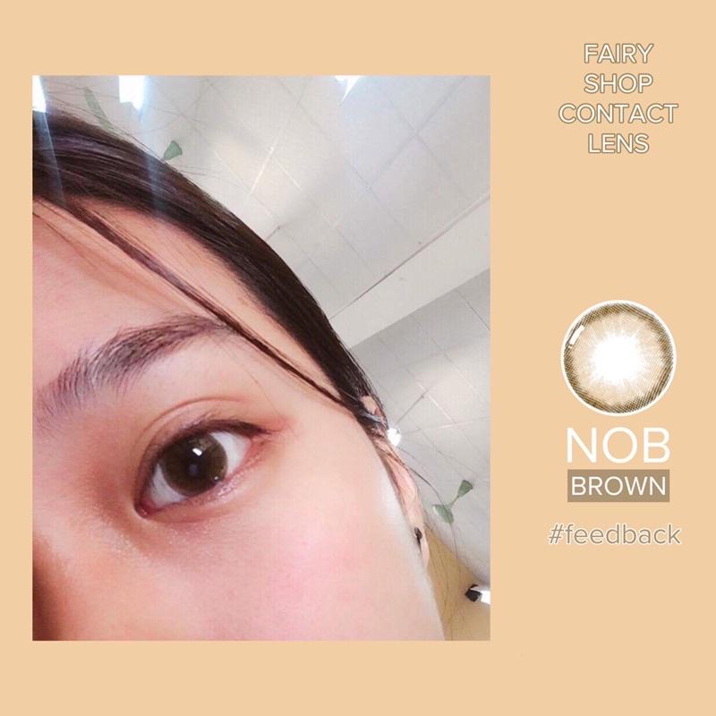 Áp tròng NOB BROWN 14.2mm - Kính Áp Tròng FAIRY SHOP CONTACT LENS