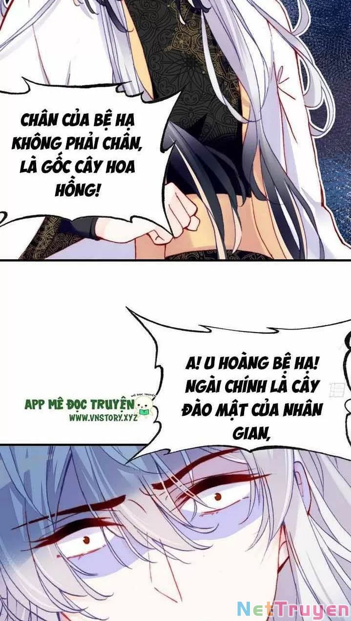 lại bị bệnh chiều chuộng quấn lấy chapter 4 35