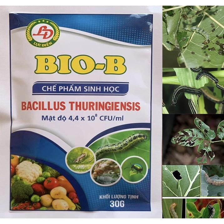 Chế Phẩm Sinh Học Công Nghệ Cao BIO-B Hoạt Lực Mạnh, Diệt trừ sâu bọ, Nhện Đỏ, Sâu Rầy, Bọ Trĩ