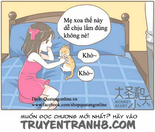 đại thánh và tiểu yêu chapter 7 12