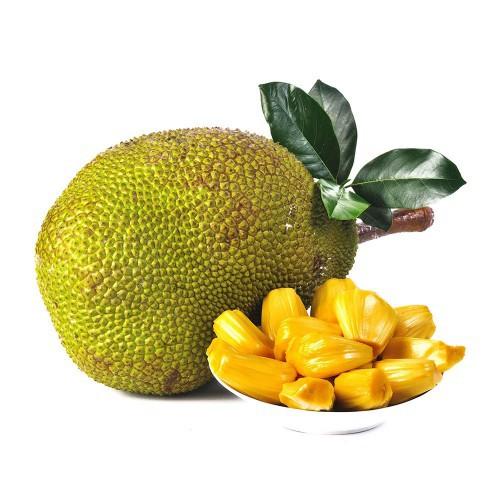 Cây giống Mít Nghệ Tứ Quý