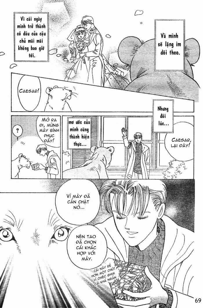 wild cats chapter 1 72