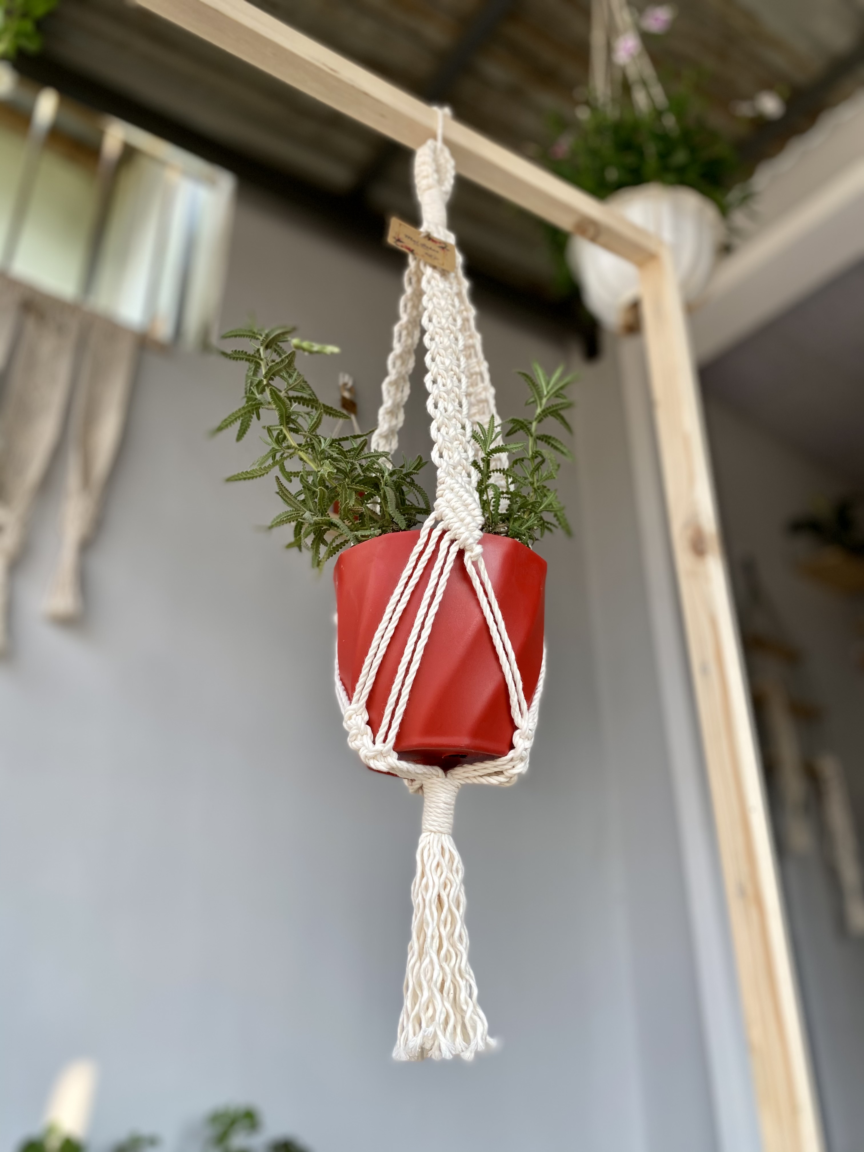 Dây treo chậu cây/ lọ nến macramé