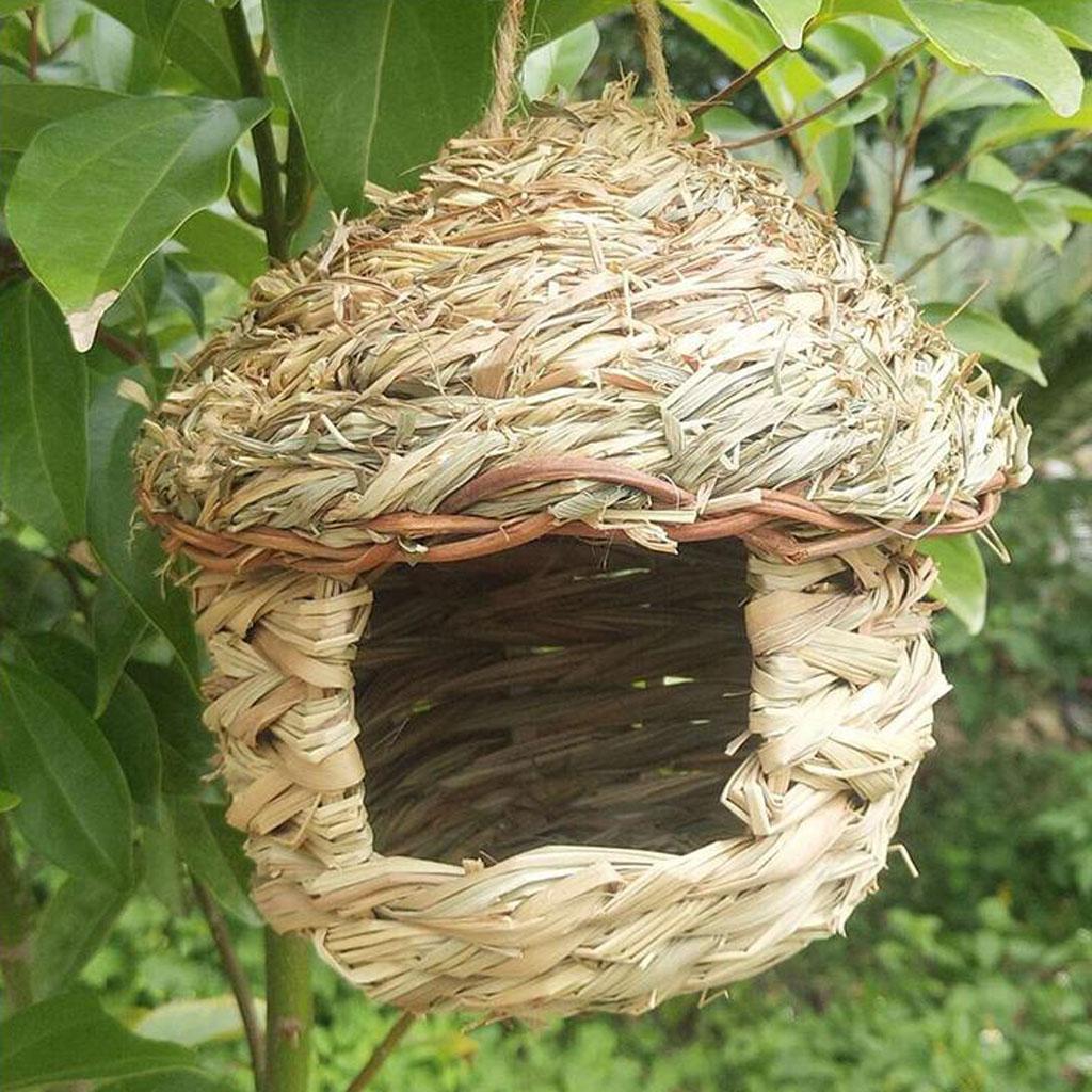 5 Cái Động Vật Hoang Dã Chim Trưởng Phòng Tổ Tay Sáng Tạo Nhà Chim Bãi Cỏ Trang Trí