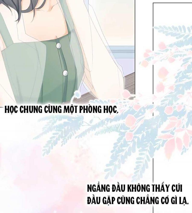 sao giờ, đẩy thuyền tới muốn yêu chapter 0 14