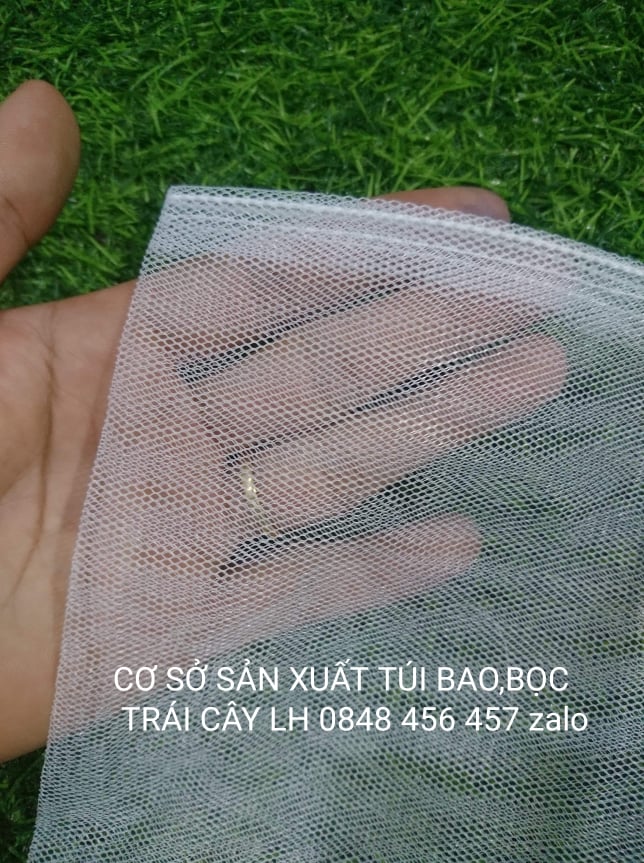 50 cái TÚI BAO, BỌC MÍT THÁI LƯỚI TỐT 50*70 -TÚI BỌC TRÁI CÂY