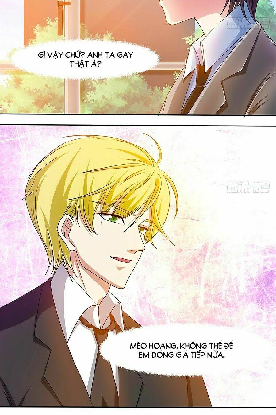 chủ tịch và nữ sát thủ chapter 22 6