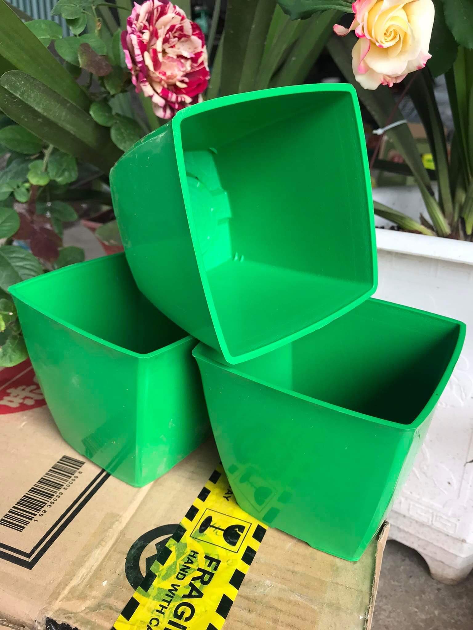 Chậu nhựa vuông V12 trồng hoa cây cảnh văn phòng hàng loại 1 KT 12x12x10cm