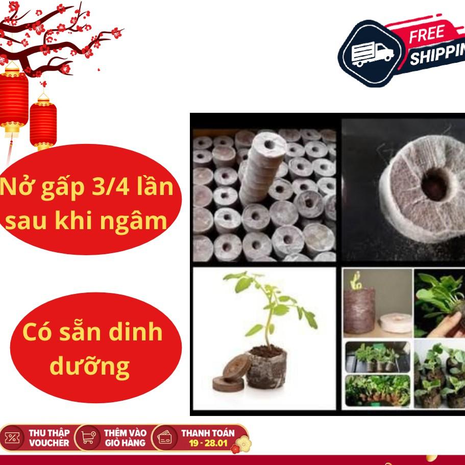 200 viên nén ươm hạt sơ dừa hàng đẹp