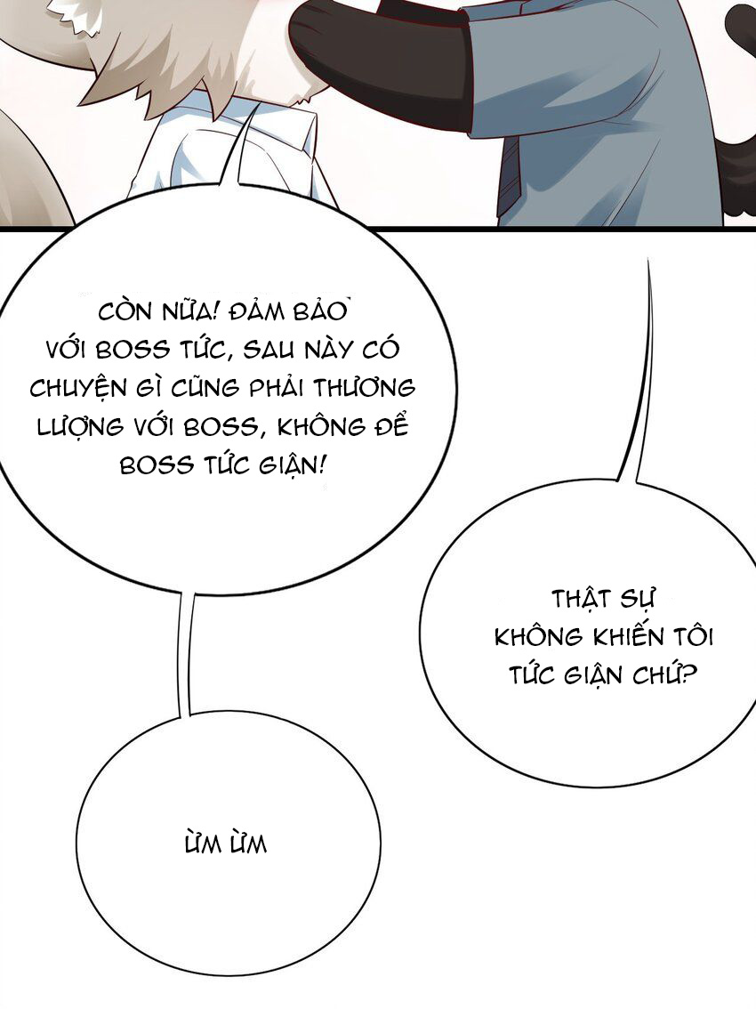 tức thời phạm quy [ tức thì vi quy ] chapter 77 5