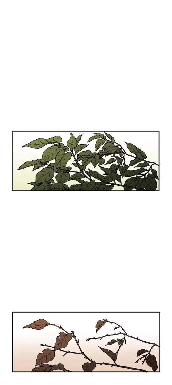 Bố Vô Song chapter 30 35