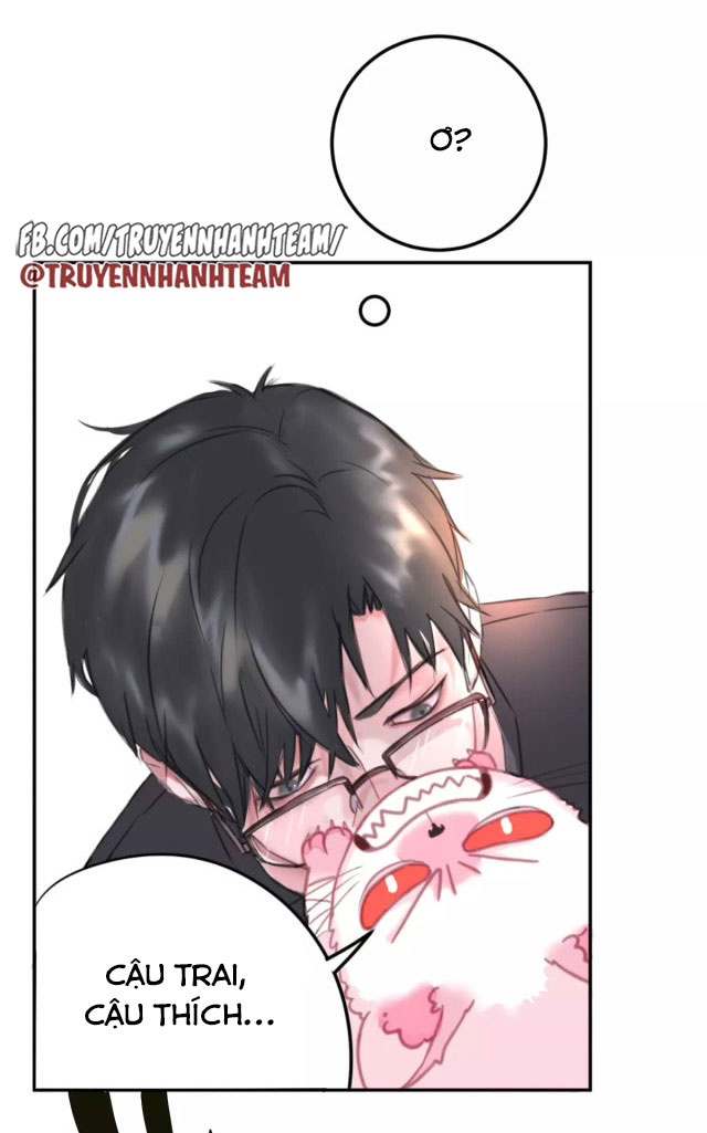 xã hội mèo chapter 1 44