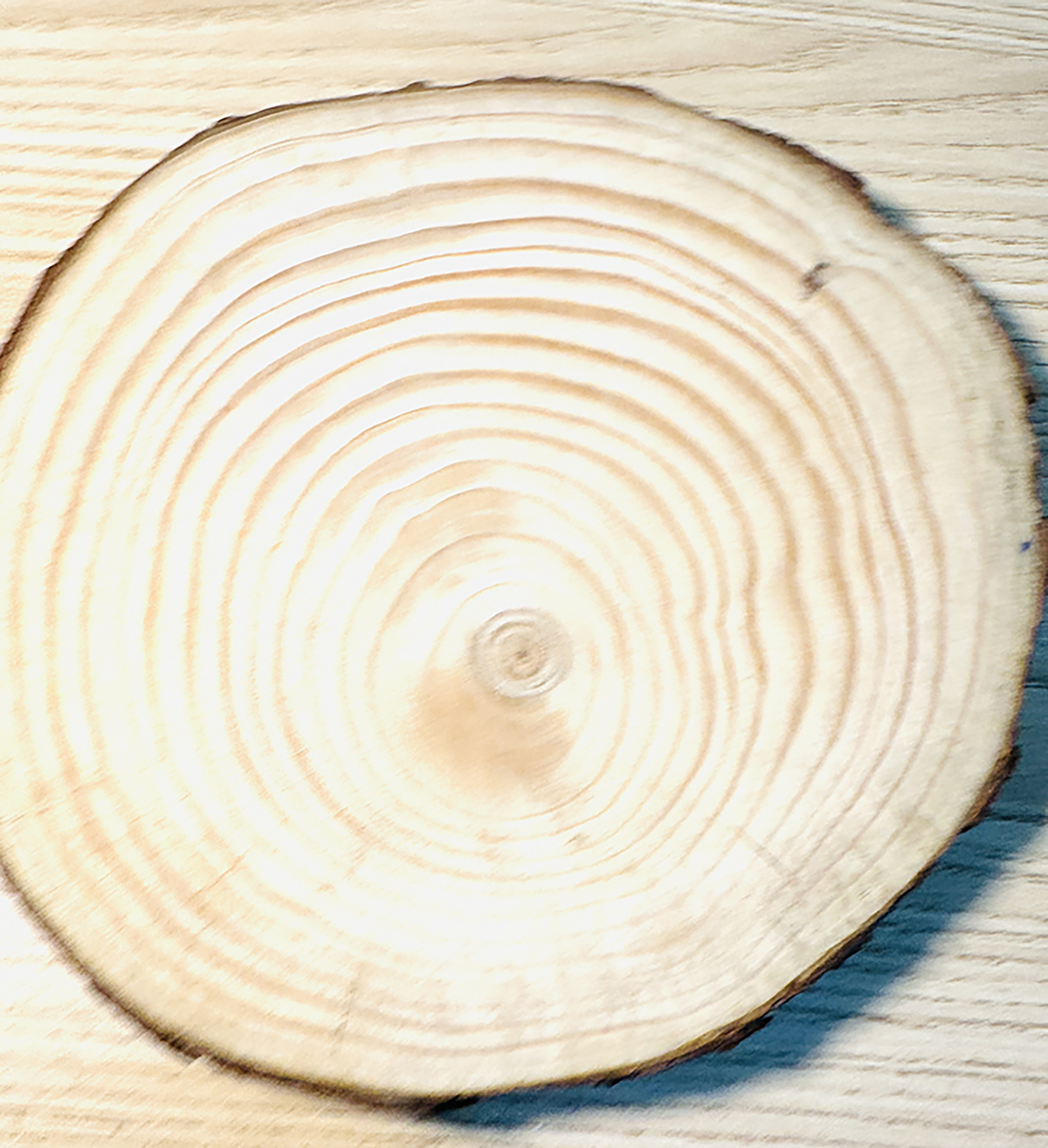 Tranh Vẽ Tay Trên Gỗ Aurora Rose Decor Trang Trí Quán Cà Phê Resort Handmade Độc Bản