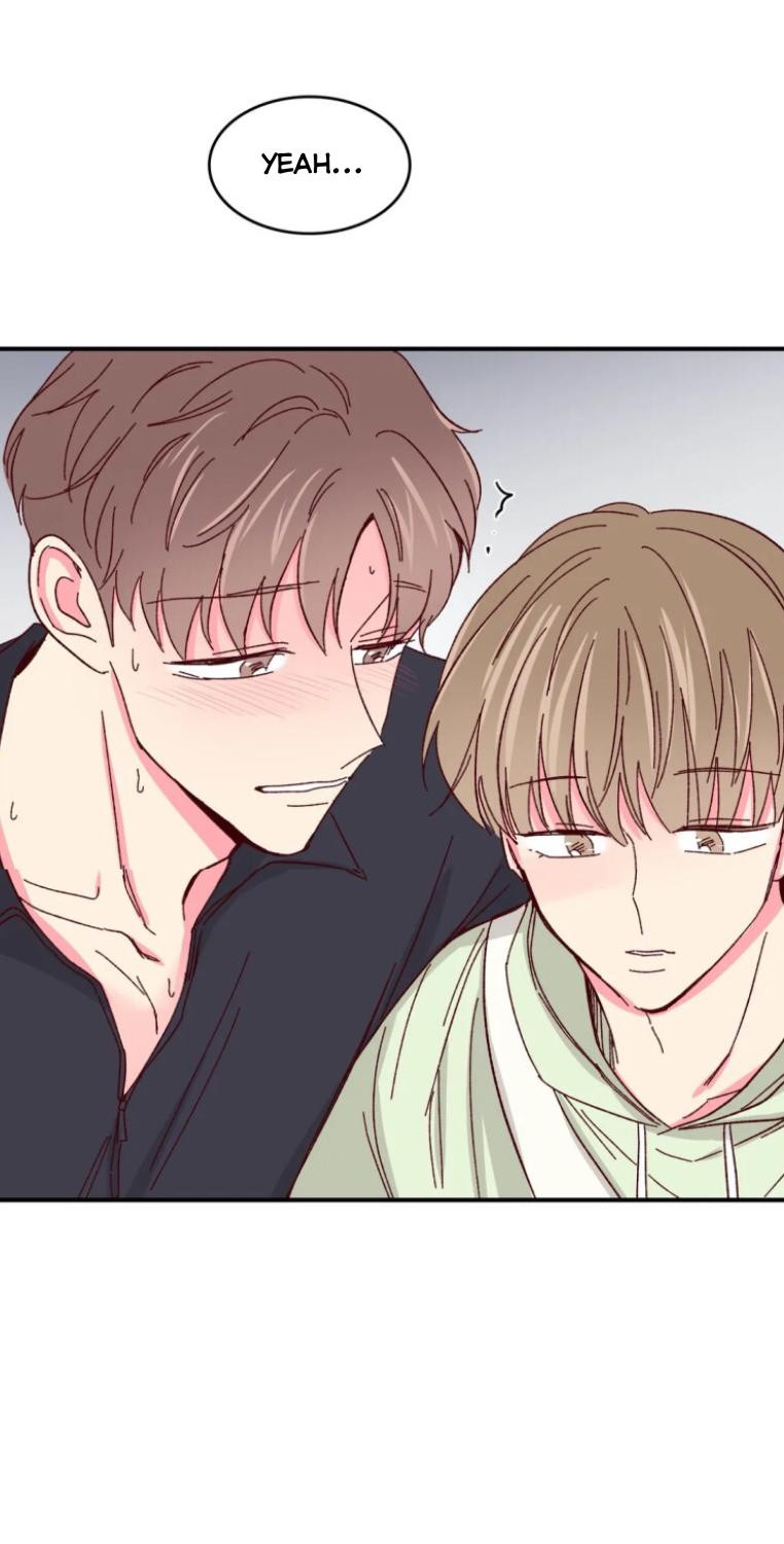 món tráng miệng của sếp tổng chapter 54 42