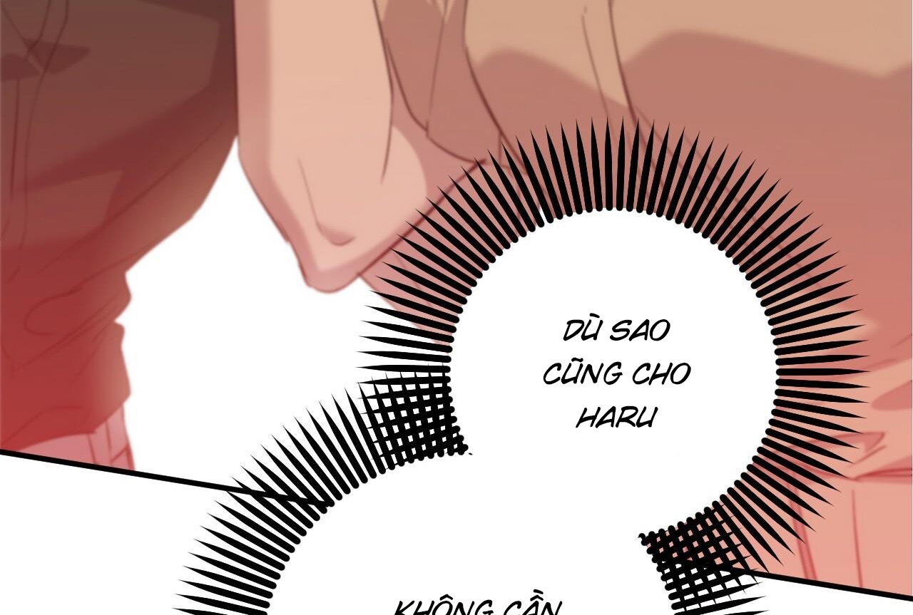 đàn thỏ của habibi chapter 58 47