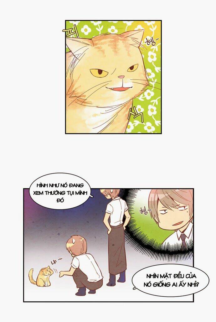 evergreen tea chapter 8 17