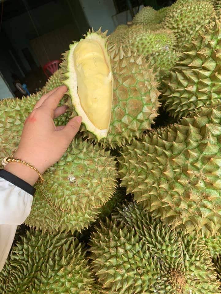 Chế phẩm EM-đại học nông lâm 1 LÍT - Khử mùi hôi phân chuồng - Dùng ủ phân chuồng,...