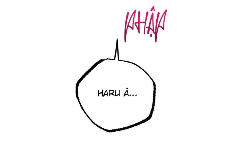 những chú thỏ của hapypy chapter 64 63