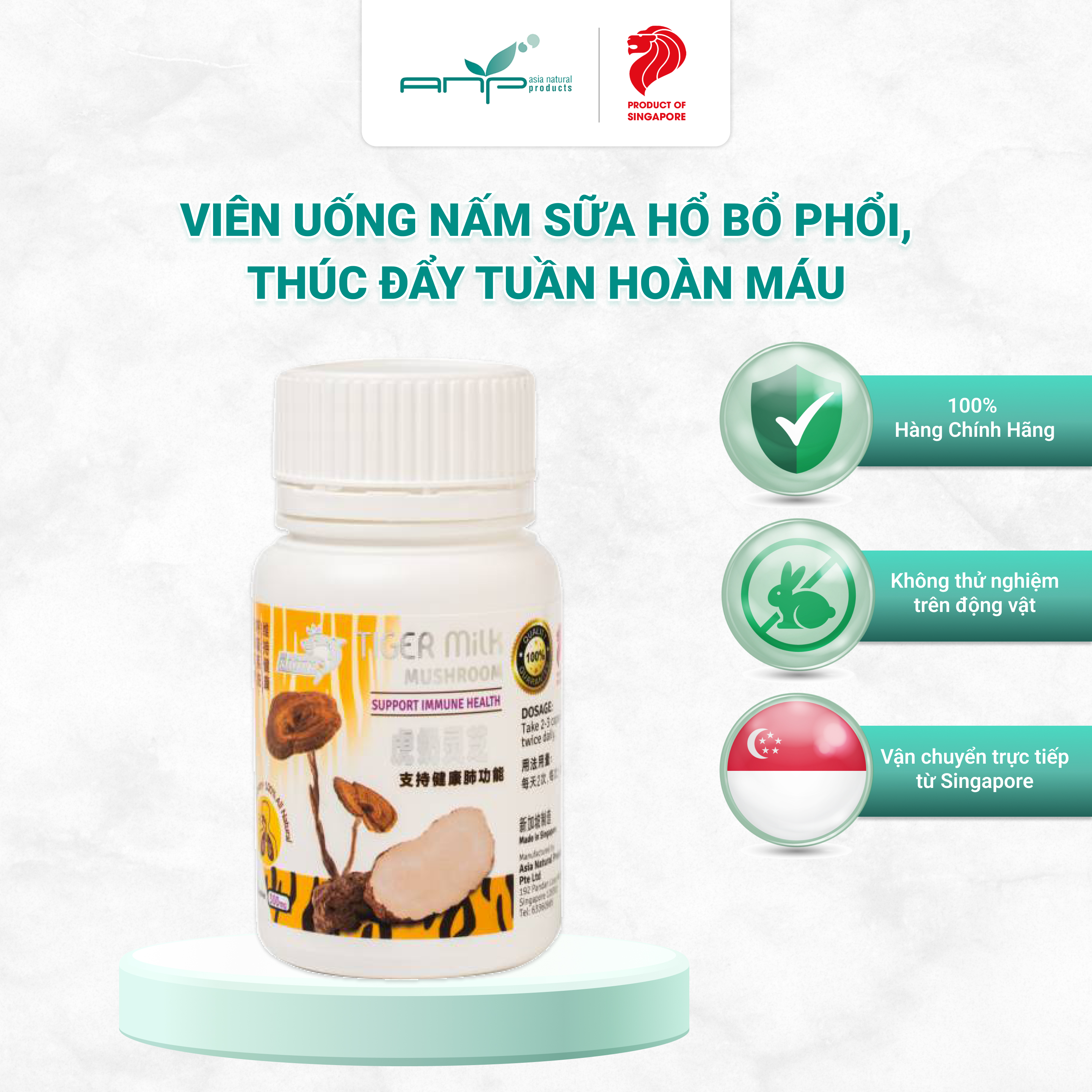 Viên Uống Tăng Khả Năng Tập Trung Tiger Milk Mushroom Giúp Thúc Đẩy Tuần Hoàn Máu Và Tăng Cường Sức Khỏe Cho Phổi