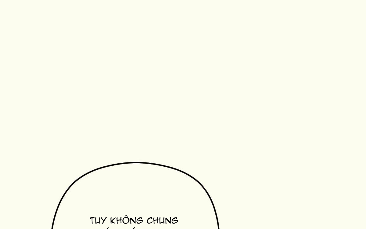 tương phùng chapter 4 73