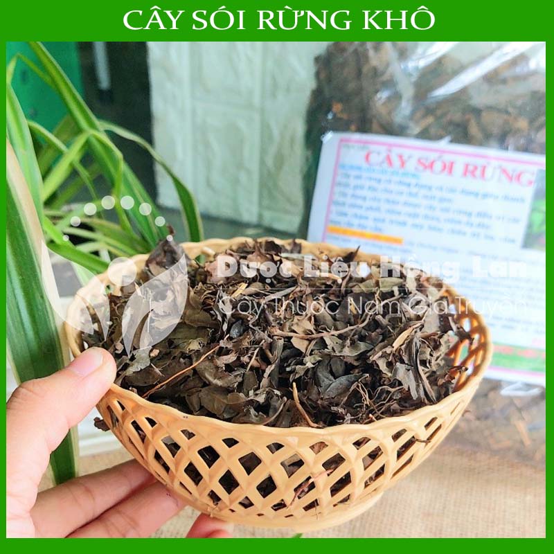 Cây Sói Rừng khô 500gram