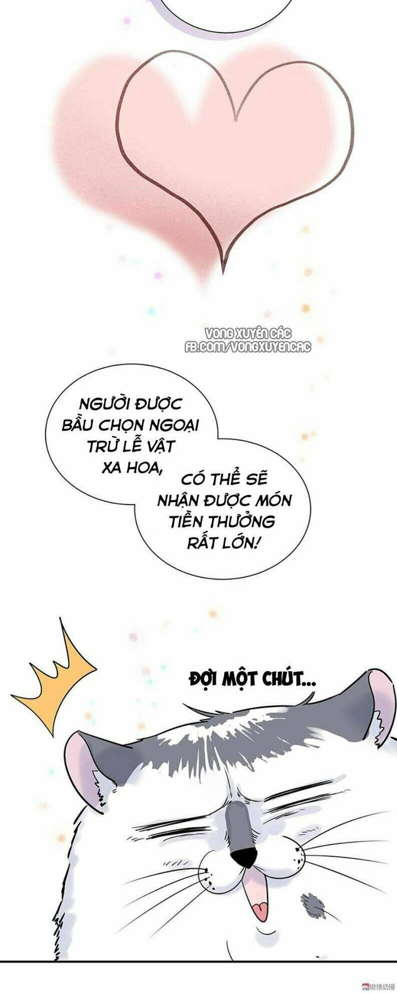 ứng cử viên hôn phu của ta chapter 0 13