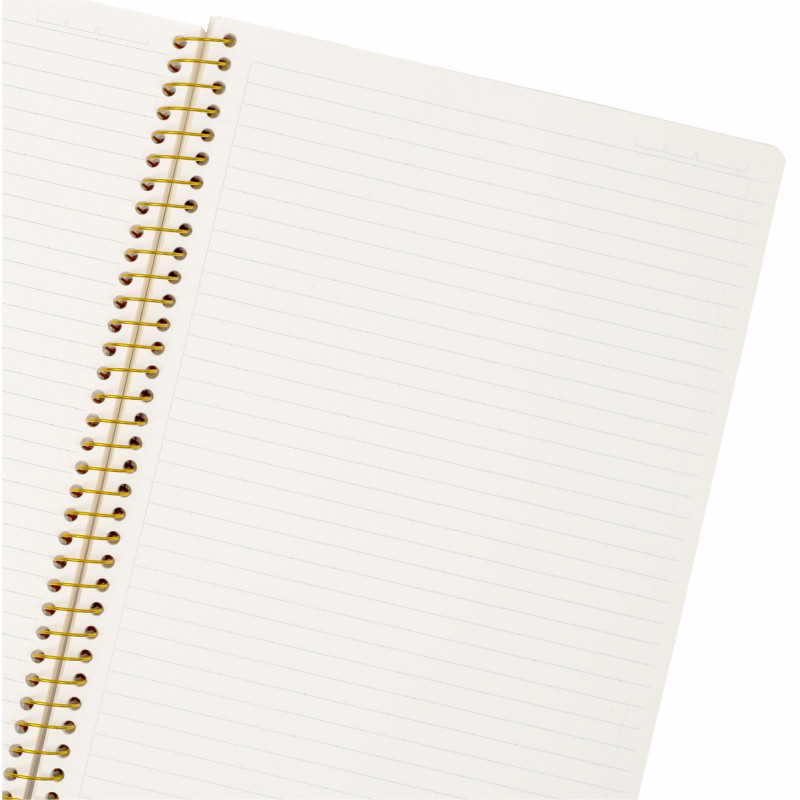 Sổ Dot Line lò xo đơn A4 300 trang 100/76; MS: 599