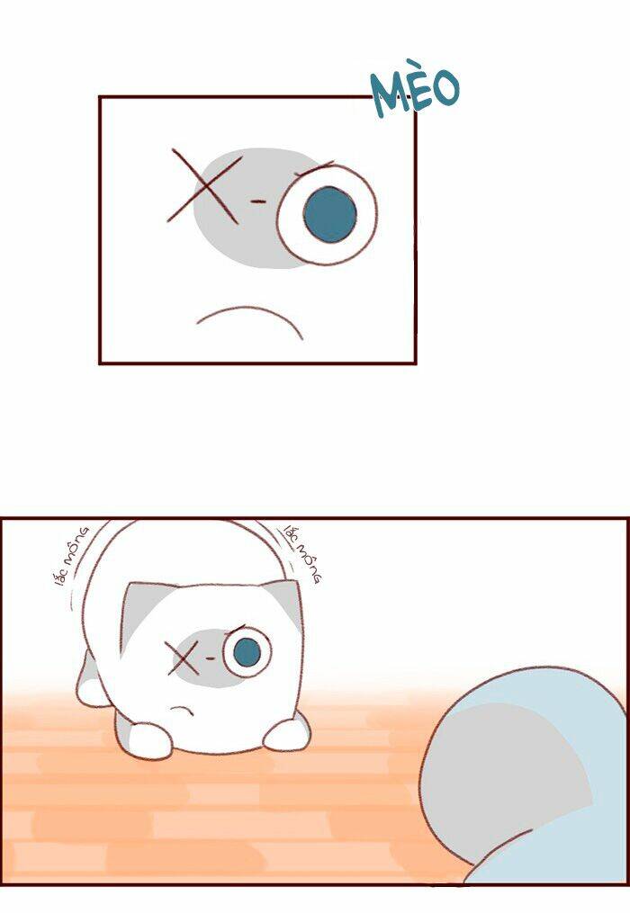 saphie: chú mèo một mắt chapter 3 10