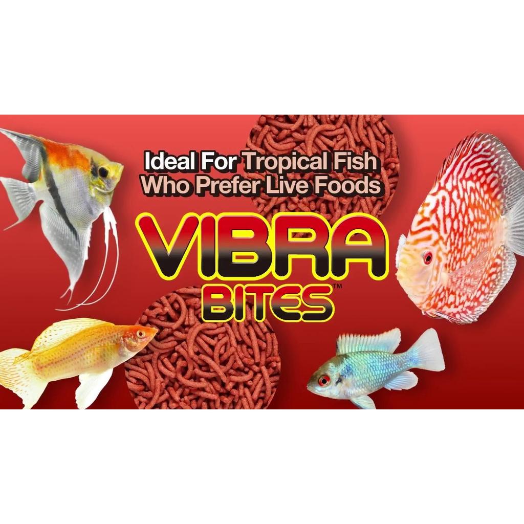 Thức ăn Hikari vibra bites cao cấp - cám tăng màu cá đĩa - các dòng cá phượng hoàng- thần tiên và cá nhiệt đợi