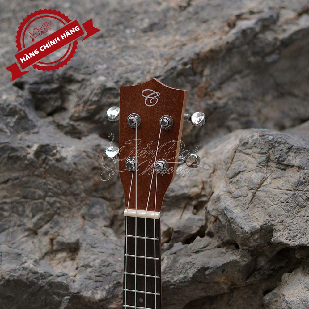 Đàn Ukulele Concert Chard WD-24THX, Màu nâu nổi bật, Mặt đàn Gỗ gụ - Hàng chính hãng