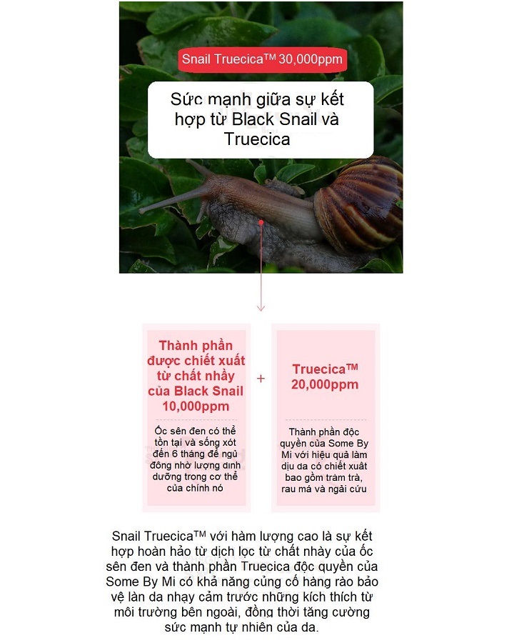 Combo Sữa Rửa Mặt + Nước Hoa Hồng Cân Bằng Da, Giúp Da Săn Chắc Chiết Xuất Ốc Sên Some By Mi Snail Truecica Miracle Repair