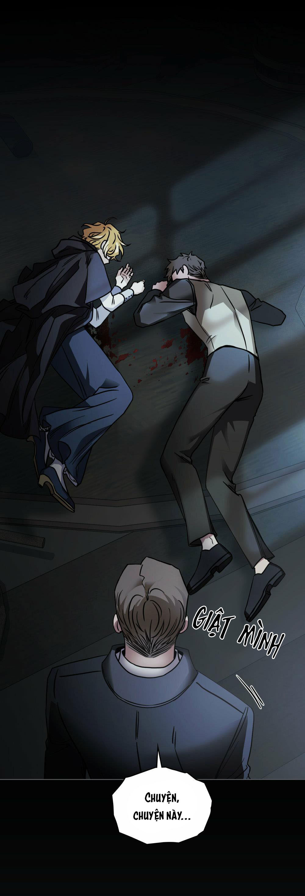 đi tìm nàng camellia chapter 48 49