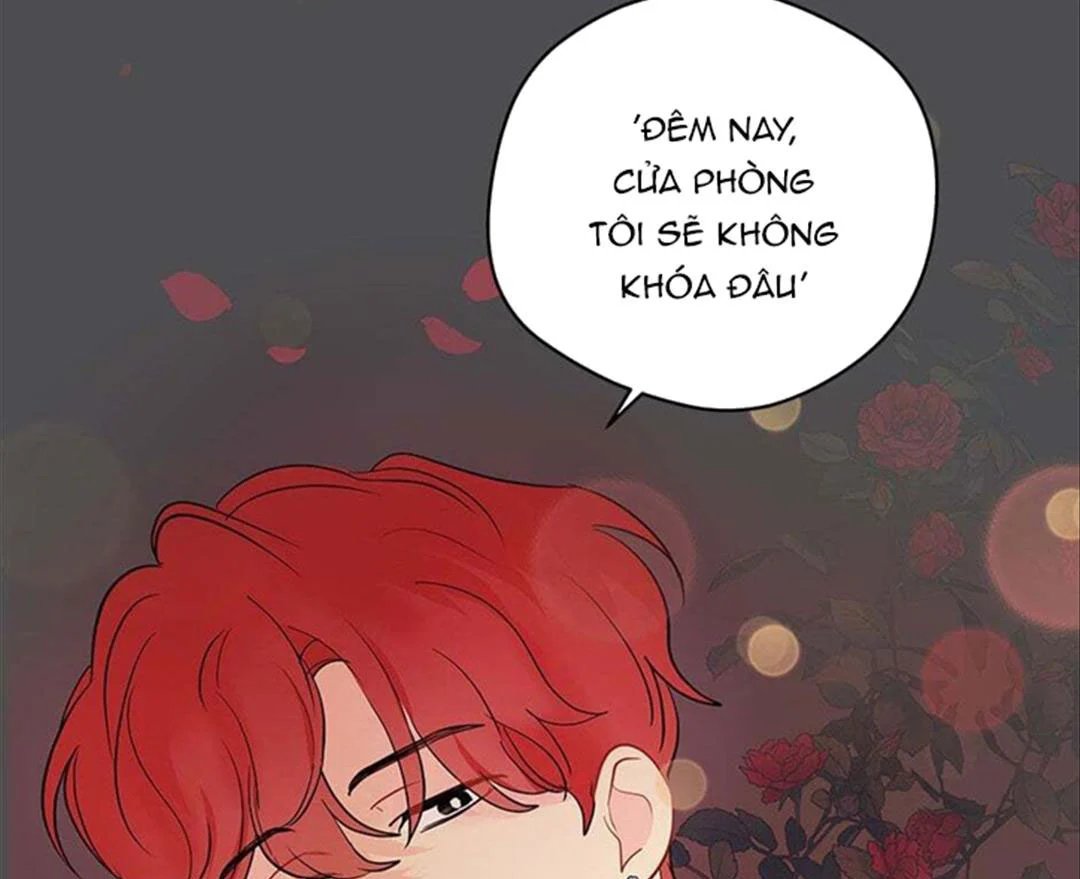 chuyện quái gì với giấc mơ đó vậy chapter 33 113