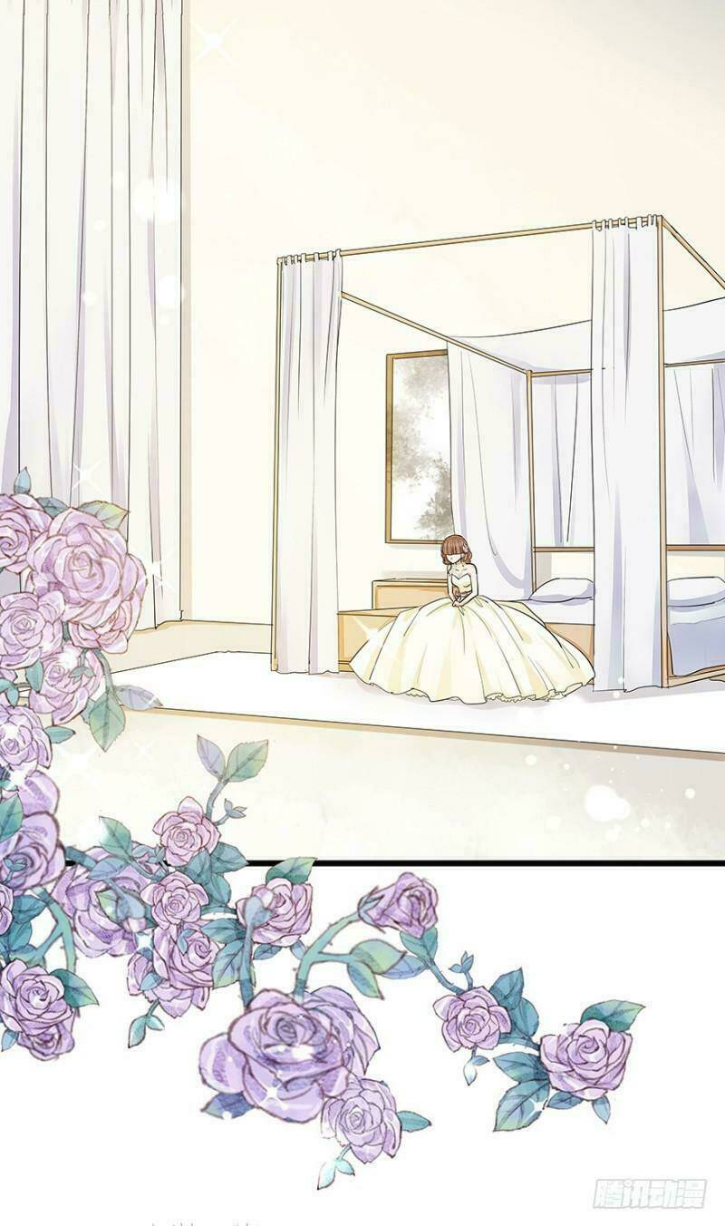 chào buổi sáng, ức vạn manh thê chapter 11 37