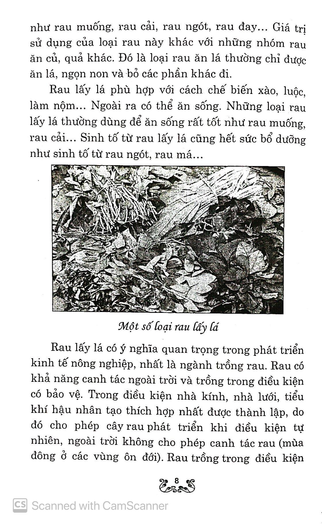 Kỹ Thuật Trồng Và Chăm Sóc Rau Lấy Lá