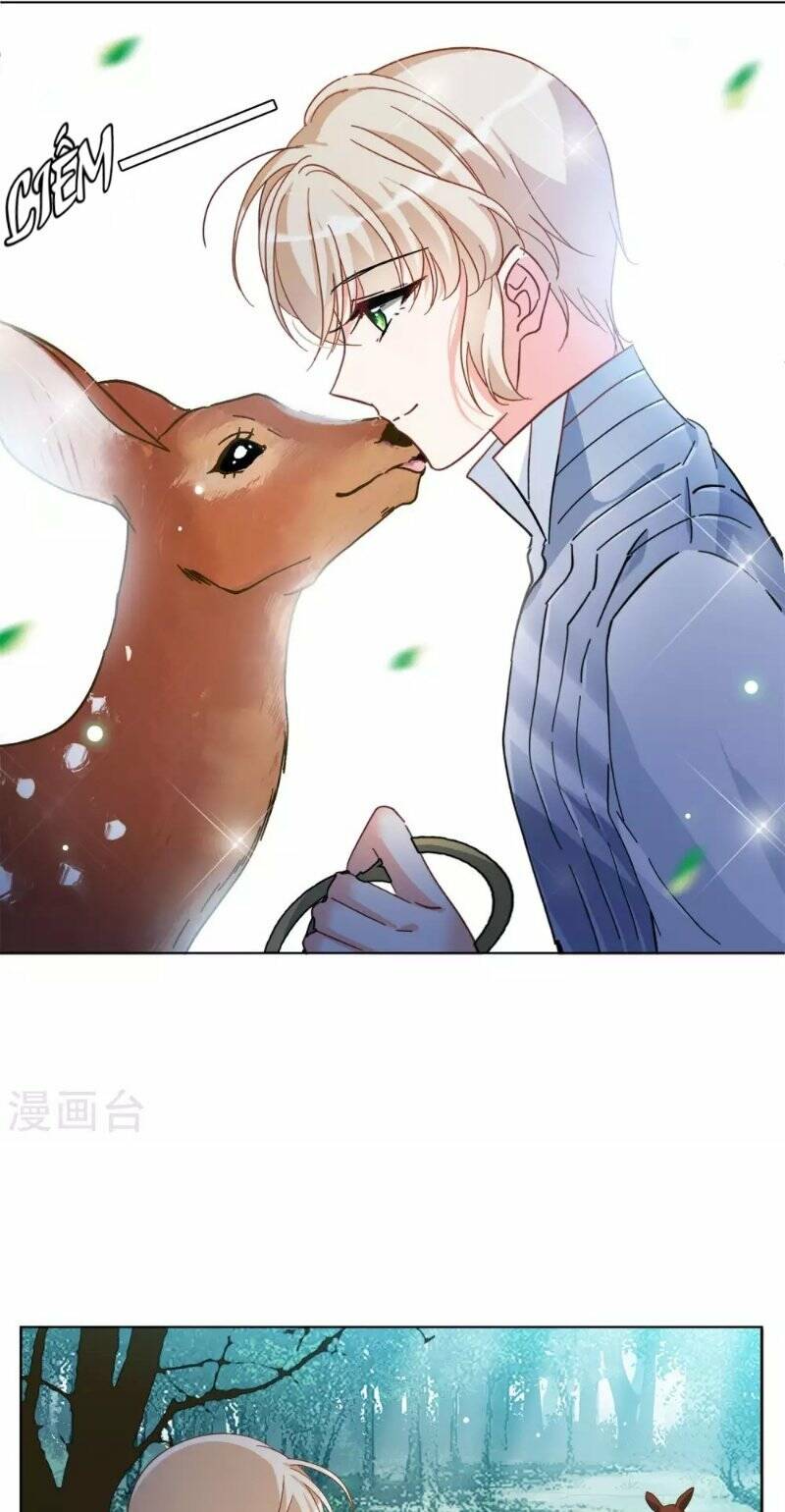 cô ấy đến rồi, xin nằm xuống! chapter 117 11