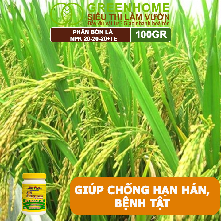 Phân Bón Lá Grow More NPK 20-20-20, GreenHome, Chai 100GR, To Củ, Lớn Trái, Chắc Hạt