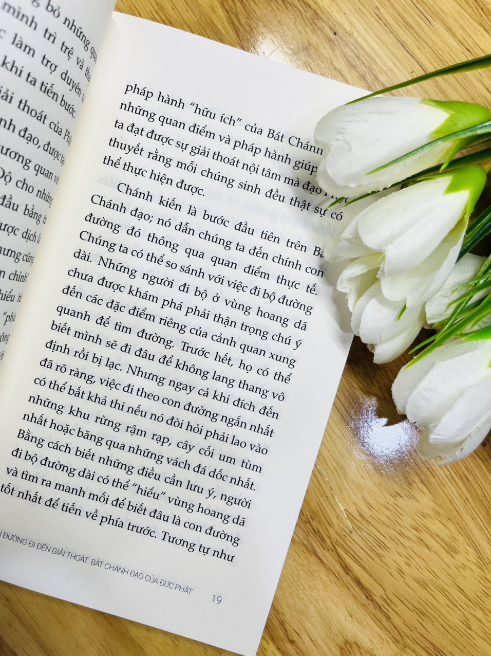 Bát Chánh Đạo Của Đạo Phật - Con Đường Đi Đến Giải Thoát